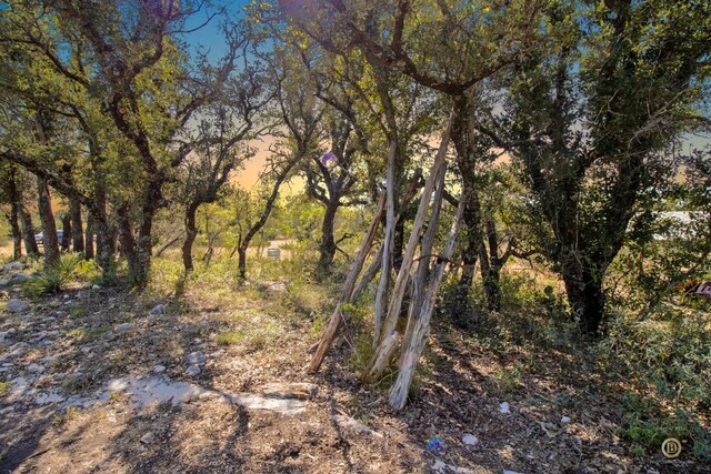 6475 Trophy Trl, Menard, TX 76841 - photo 24