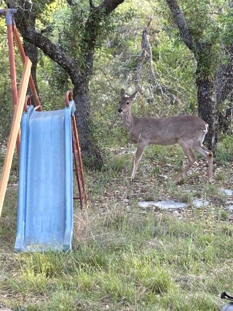 6475 Trophy Trl, Menard, TX 76841 - photo 28
