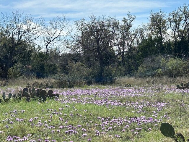 6475 Trophy Trl, Menard, TX 76841 - photo 33