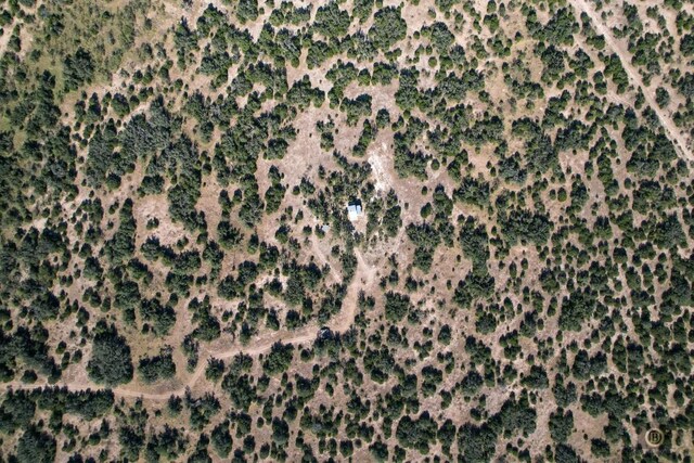 6475 Trophy Trl, Menard, TX 76841 - photo 40