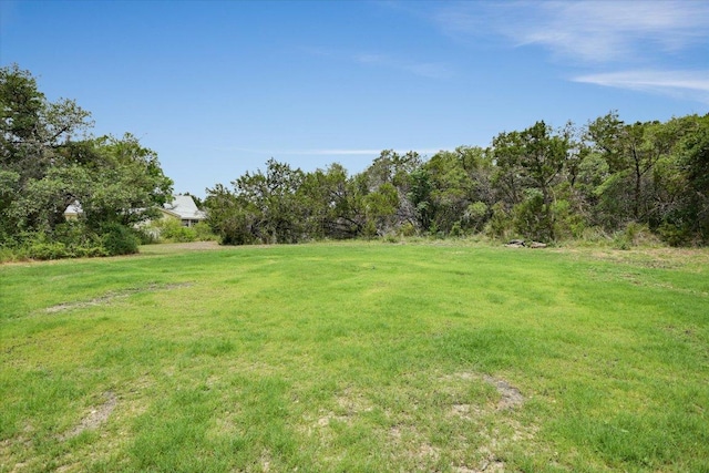 9438 Circle Dr, Austin, TX 78736 - view of green lawn