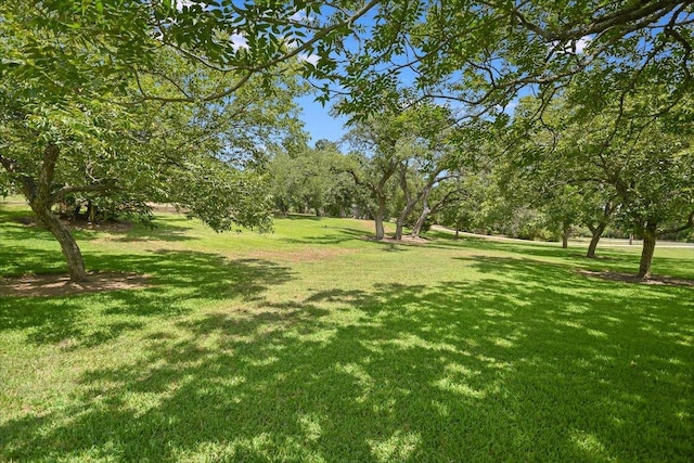 9504 Flintrock Cir, Austin, TX 78737 - view of grassy yard