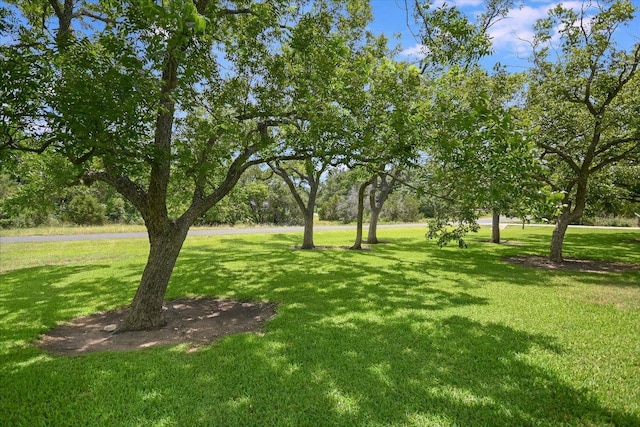 9504 Flintrock Cir, Austin, TX 78737 - view of green lawn