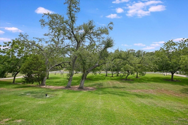 9504 Flintrock Cir, Austin, TX 78737 - view of home's community featuring a lawn