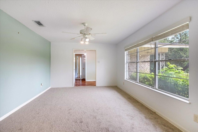 9504 Flintrock Cir, Austin, TX 78737 - carpeted spare room with plenty of natural light, baseboards, a ceiling fan, and a textured ceiling