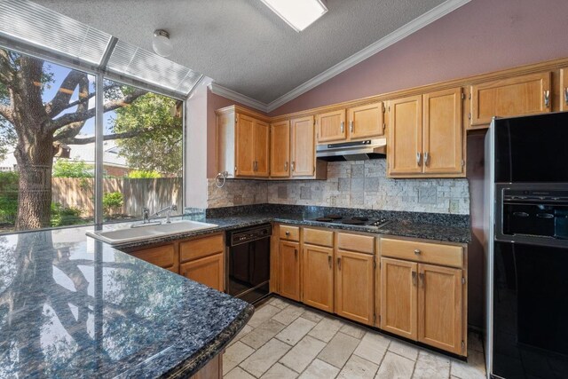 8417 Cornerwood Dr, Austin, TX 78717 - kitchen featuring black appliances, lofted ceiling, under cabinet range hood, a sink, and tasteful backsplash