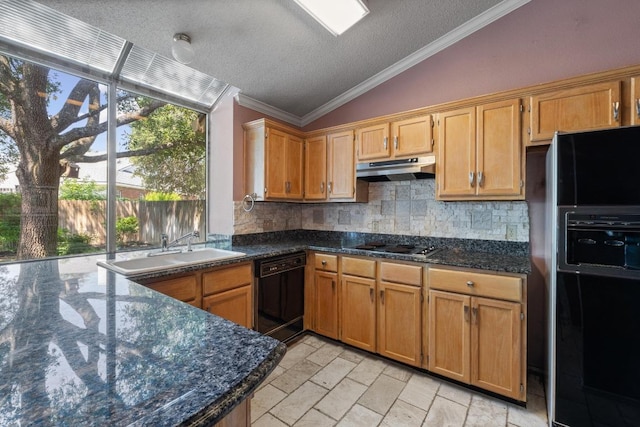8417 Cornerwood Dr, Austin, TX 78717 - kitchen featuring black appliances, vaulted ceiling, under cabinet range hood, backsplash, and a textured ceiling
