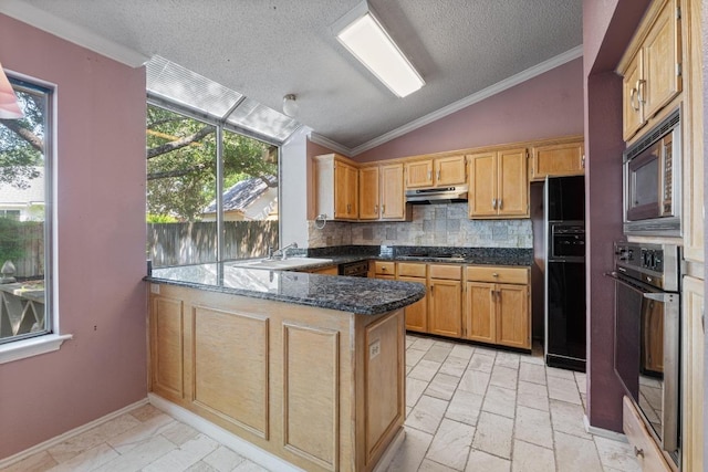 8417 Cornerwood Dr, Austin, TX 78717 - kitchen featuring under cabinet range hood, black appliances, a peninsula, vaulted ceiling, and tasteful backsplash