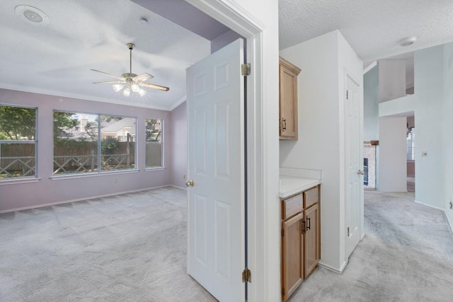 8417 Cornerwood Dr, Austin, TX 78717 - hallway featuring light colored carpet and a textured ceiling