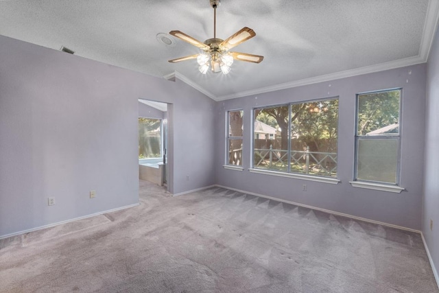 8417 Cornerwood Dr, Austin, TX 78717 - carpeted empty room with lofted ceiling, a textured ceiling, ceiling fan, and crown molding