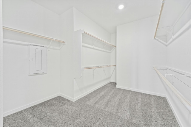 632 Deerpath St, Leander, TX 78641 - spacious closet featuring carpet flooring and electric panel