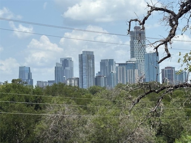 1514 Parker Ln Unit 104, Austin, TX 78741 - skyline view
