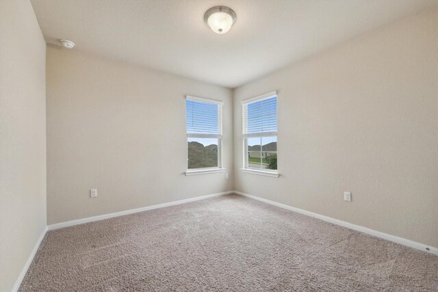 1008 Comal Run, Hutto, TX 78634 - spare room featuring carpet floors, baseboards, and a smoke detector