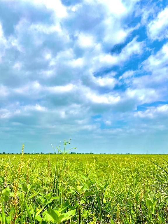 TBDTRACT13 County Road 210, Eagle Lake, TX 77434 - photo 5