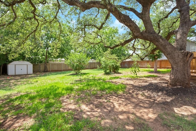 3809 Eton Ln, Austin, TX 78727 - view of yard