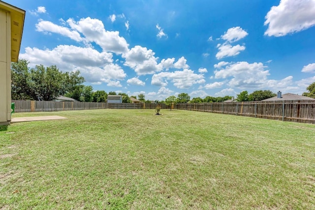 1101 Winecup Ct, Leander, TX 78641 - view of yard