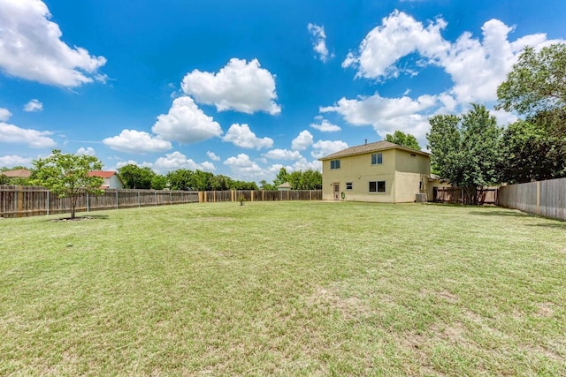 1101 Winecup Ct, Leander, TX 78641 - view of yard