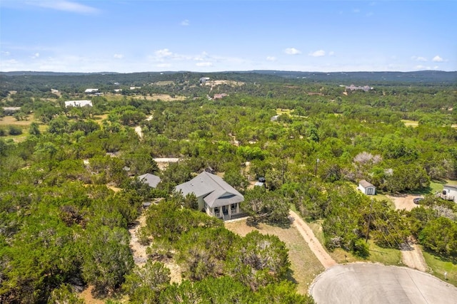 415 Angel Fire Rd, Dripping Springs, TX 78620 - drone / aerial view of a forest