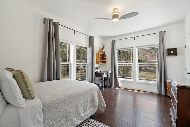 415 Angel Fire Rd, Dripping Springs, TX 78620 - bedroom featuring multiple windows, dark wood-type flooring, and ceiling fan