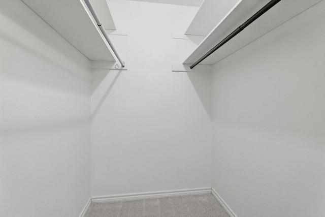 8506 Shenandoah Dr, Austin, TX 78753 - walk in closet with carpet