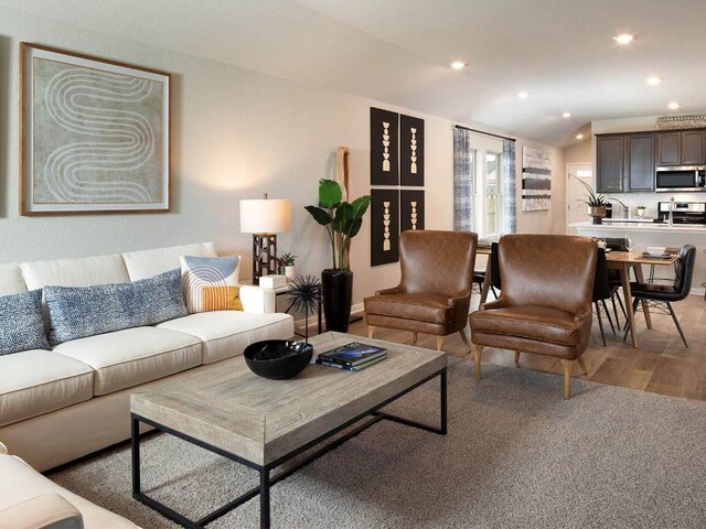 800 Sun Grove Trl, Andice, TX 78628 - living area featuring recessed lighting and light wood-type flooring