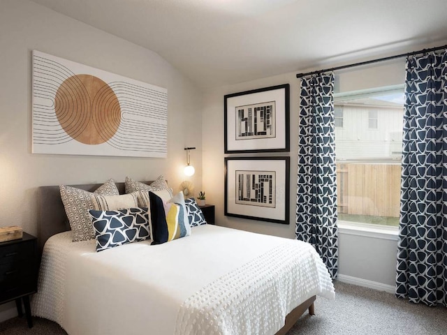 800 Sun Grove Trl, Andice, TX 78628 - bedroom featuring baseboards, carpet, and lofted ceiling