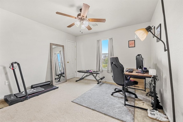 308 Janelle Drive A And B, Copperas Cove, TX 76522 - carpeted office with ceiling fan and baseboards