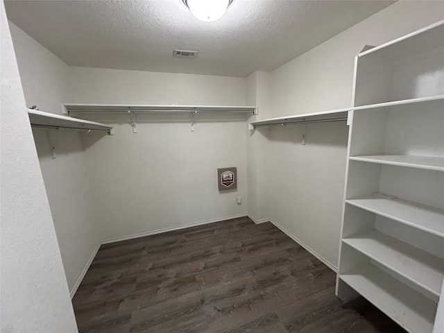 125 Lilly Crk, Boerne, TX 78006 - walk in closet with dark wood finished floors