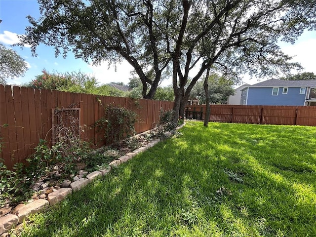125 Lilly Crk, Boerne, TX 78006 - view of yard