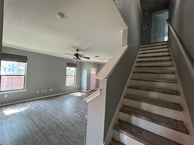 125 Lilly Crk, Boerne, TX 78006 - stairway featuring baseboards, ceiling fan, wood finished floors, and ornamental molding