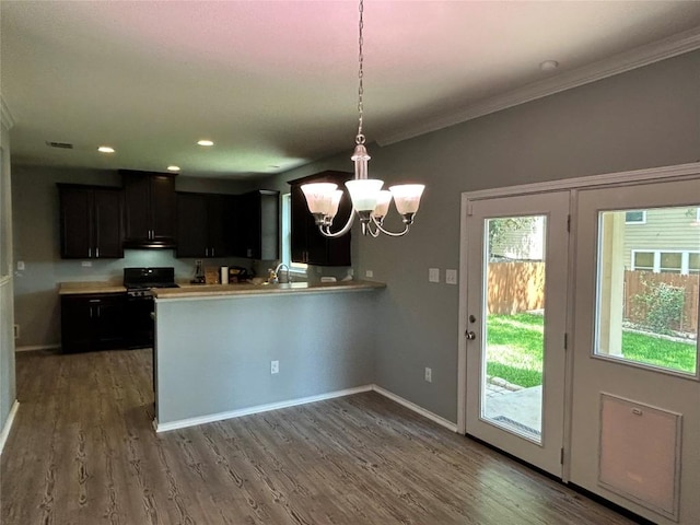 125 Lilly Crk, Boerne, TX 78006 - kitchen with a chandelier, light countertops, dark wood-type flooring, a peninsula, and crown molding
