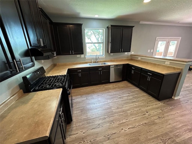 125 Lilly Crk, Boerne, TX 78006 - kitchen featuring dishwasher, a sink, black range with gas stovetop, a peninsula, and plenty of natural light