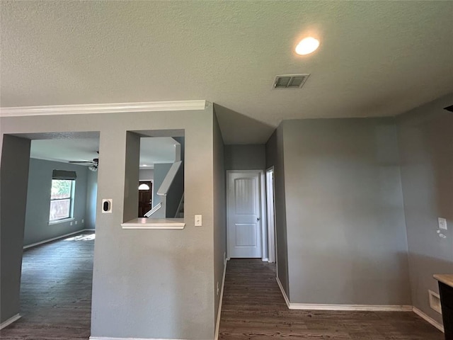 125 Lilly Crk, Boerne, TX 78006 - corridor with dark wood-style flooring, ornamental molding, baseboards, and a textured ceiling