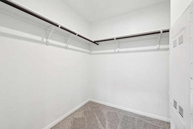 136 Ellinger Rd, Georgetown, TX 78626 - walk in closet featuring carpet flooring