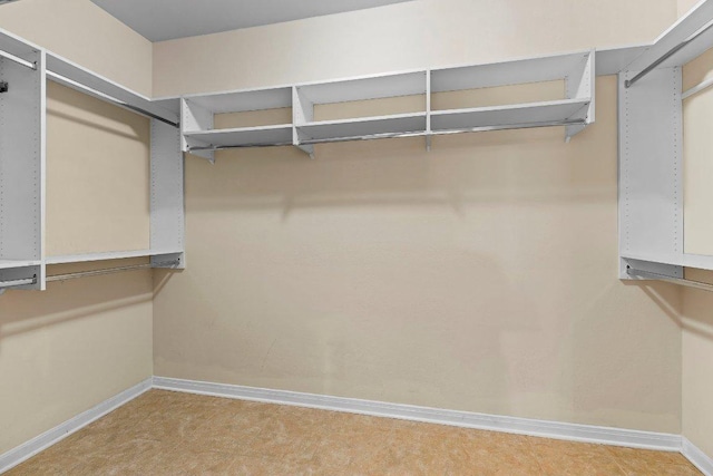 206 Whispering Wind Dr, Georgetown, TX 78633 - view of spacious closet
