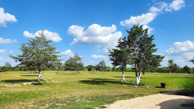 626 Sparta Field Rd, Waelder, TX 78959 - surrounding community featuring a yard