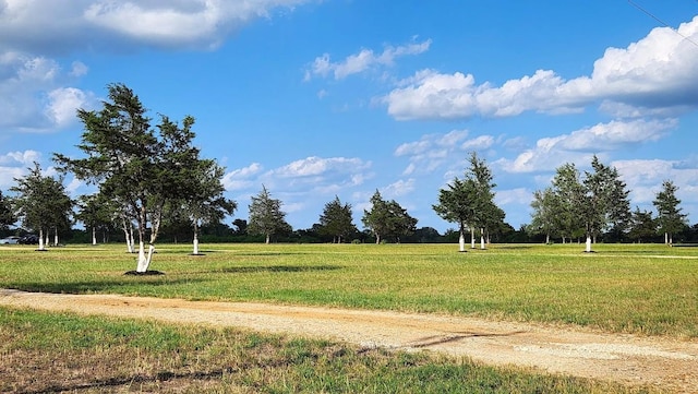 626 Sparta Field Rd, Waelder, TX 78959 - view of property's community featuring a yard