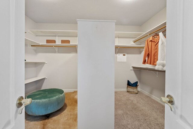 11037 River Plantation Dr, Austin, TX 78747 - walk in closet with carpet floors