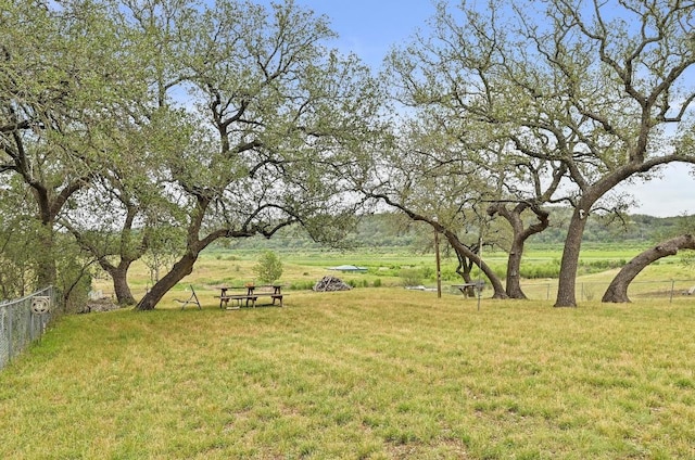409 Lake View Dr, Spicewood, TX 78669 - view of yard
