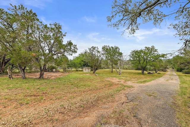 409 Lake View Dr, Spicewood, TX 78669 - view of street