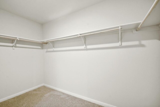 210 Briggs Ln, San Marcos, TX 78666 - spacious closet with light carpet