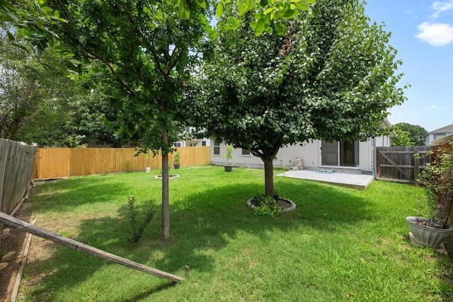 3807 Haleys Way, Round Rock, TX 78665 - view of yard featuring a patio area