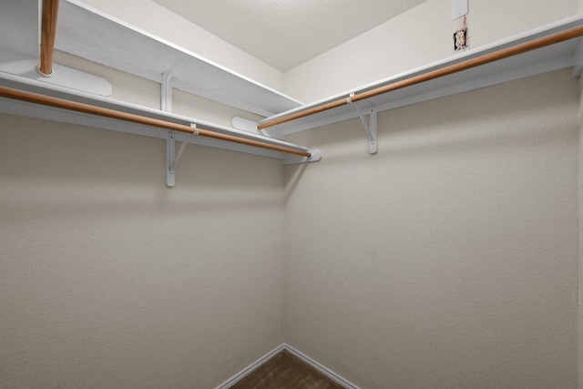 3807 Haleys Way, Round Rock, TX 78665 - view of walk in closet