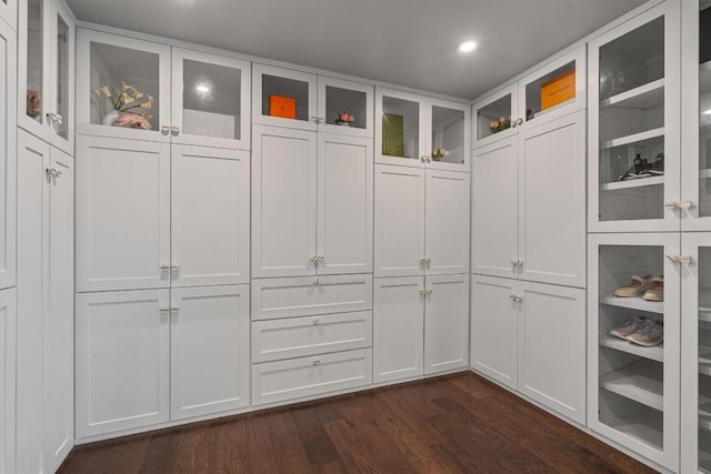 800 Canyon Bend Rd, Pflugerville, TX 78660 - walk in closet with dark wood-style floors
