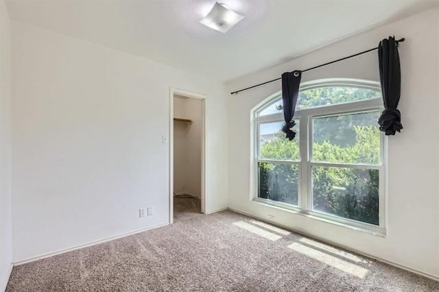224 Copper Ln, Jarrell, TX 76537 - unfurnished bedroom featuring carpet floors and a walk in closet