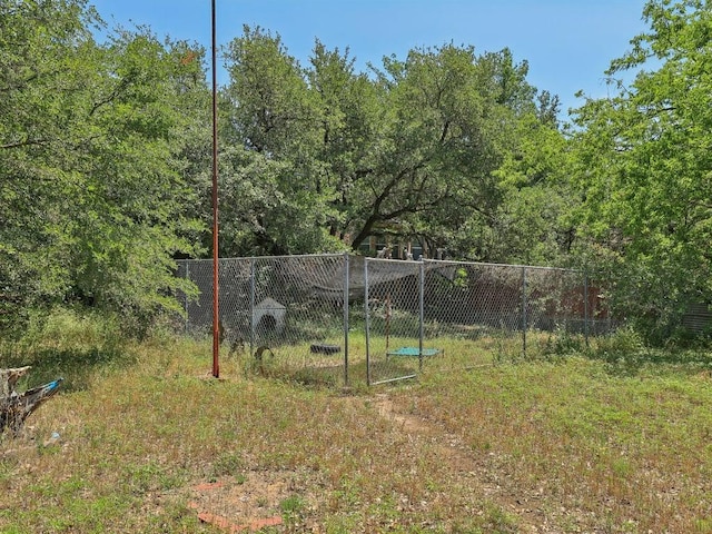 8622 Thunderbird Rd, Austin, TX 78736 - view of yard