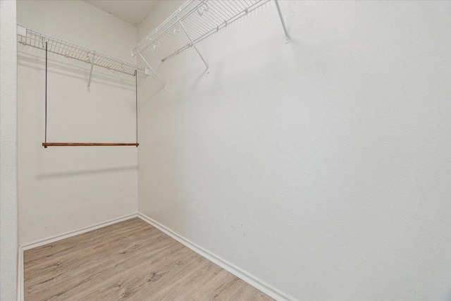 110 Rinehardt St, Hutto, TX 78634 - spacious closet featuring light wood finished floors