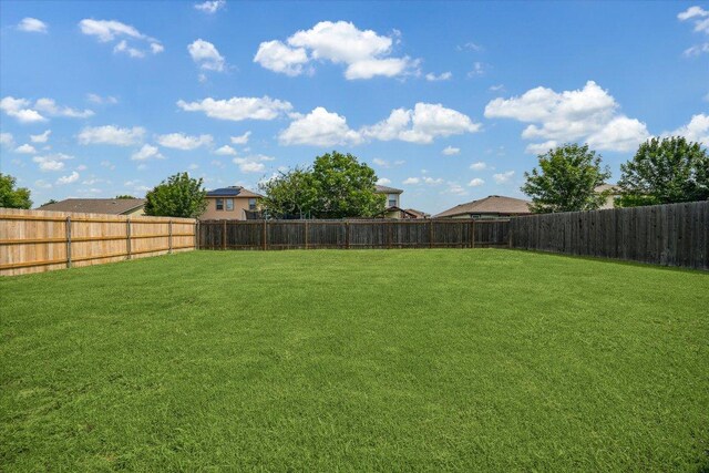 110 Rinehardt St, Hutto, TX 78634 - view of yard