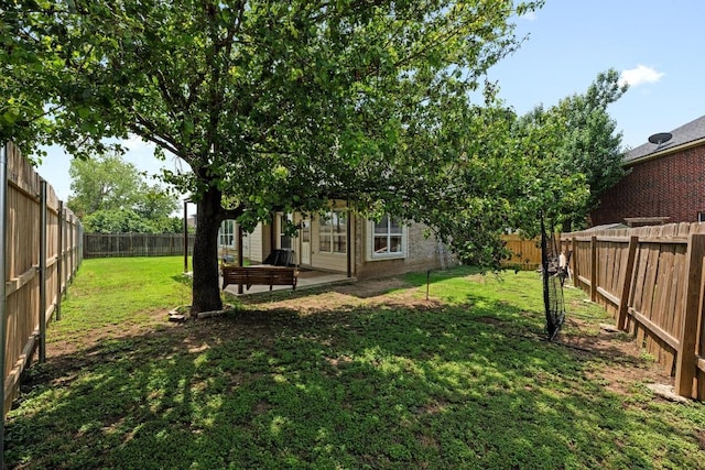 122 Retama Dr, Georgetown, TX 78626 - view of yard