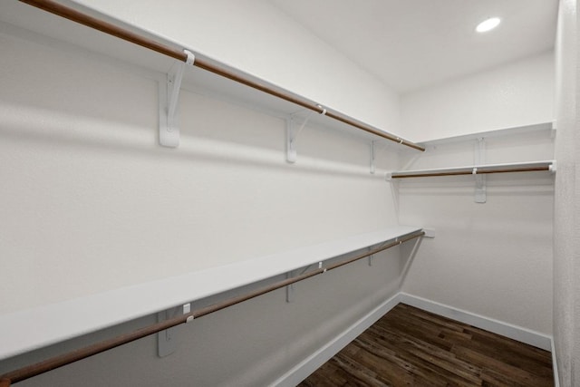 122 Retama Dr, Georgetown, TX 78626 - walk in closet featuring dark wood-style flooring